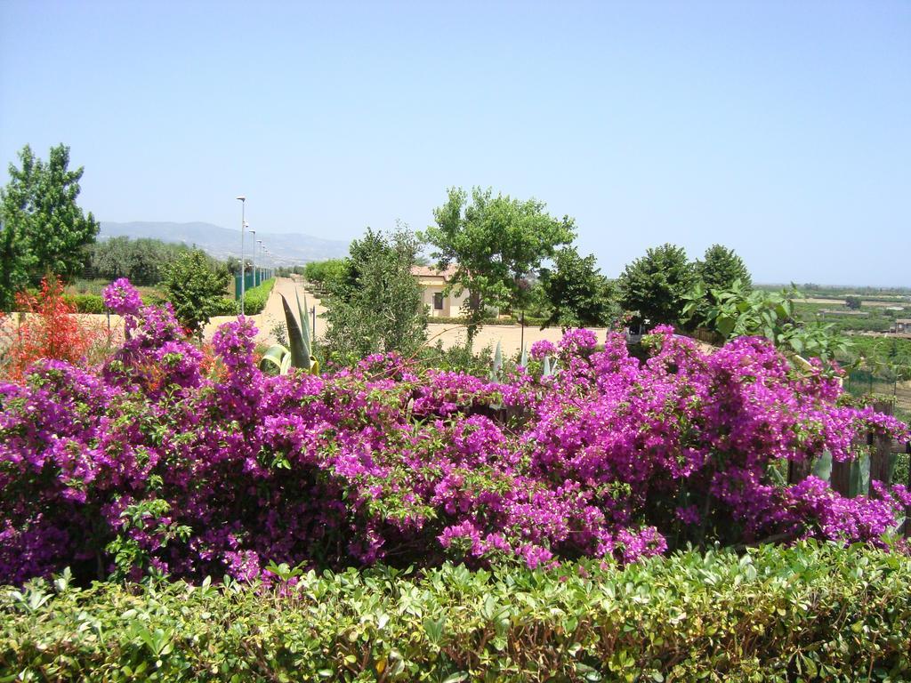 Tenuta Colle Degli Ulivi Sibari Dış mekan fotoğraf